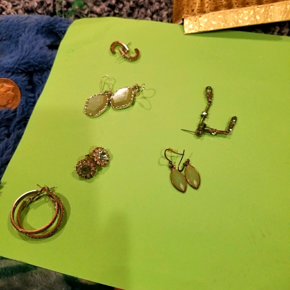 Earrings